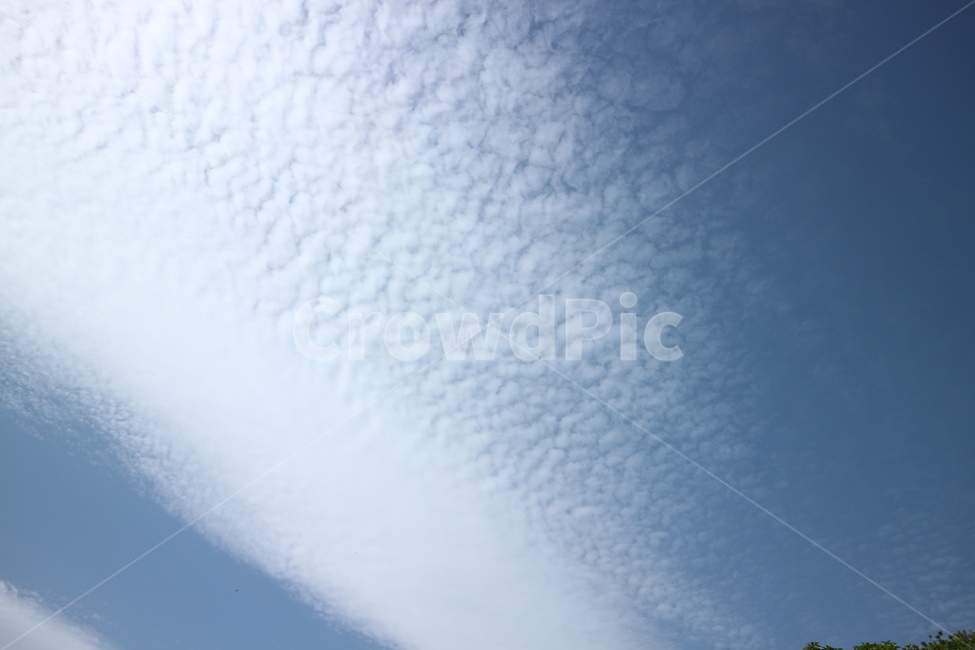 구름,뭉개구름,양털,자연,nature,outdoors,옥외,sky,하늘