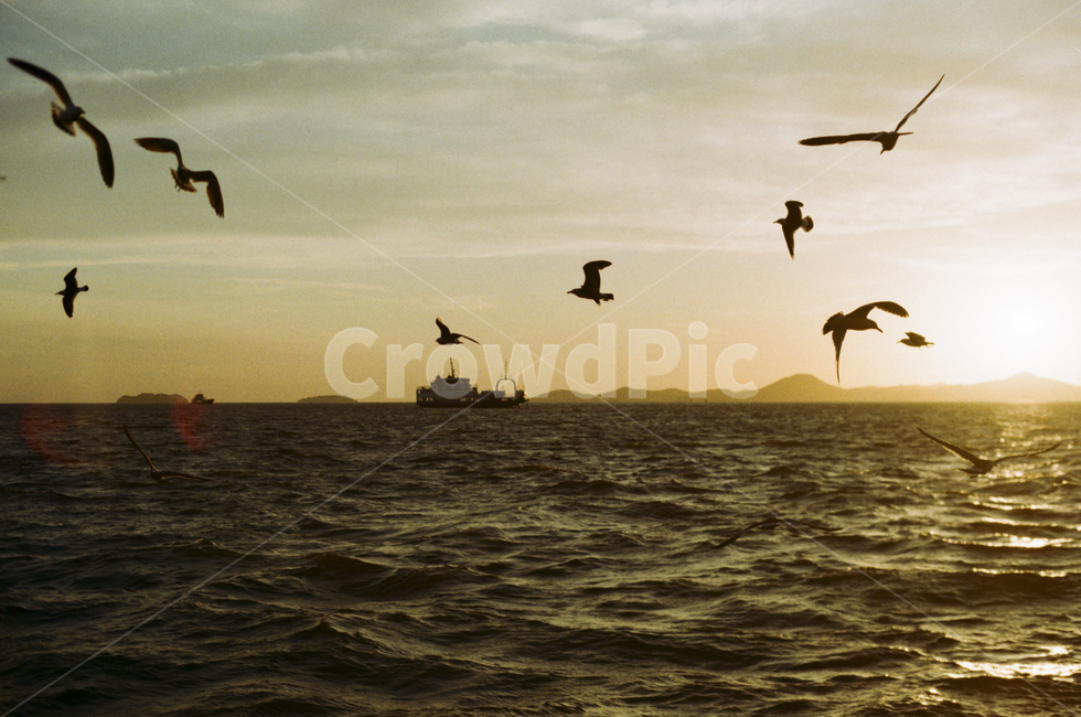 노을,풍경,해질녘,바다,오후,선셋,sunset,붉은하늘,구름,낭만,따듯,warm,sea,파도,자연,nature,landscape,갈메기,필름,감성,일몰