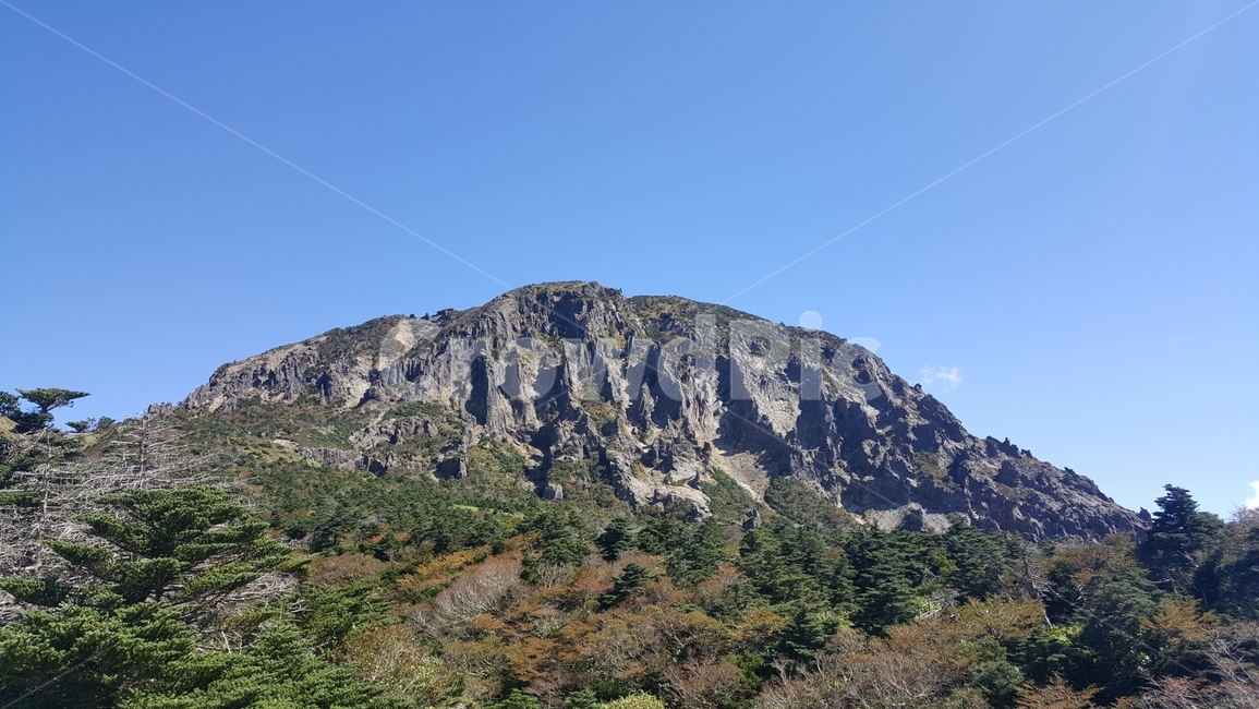Hill,nature,clear sky,Mt Hanlla,wide hill,Witse Oreum,peaceful,Yeongsil Course,Koreas natural scenery,healing,sunlight,natural scenery,Made in Korea,Jeju Island Mountain,high mountain,Baeknokdam,green tree