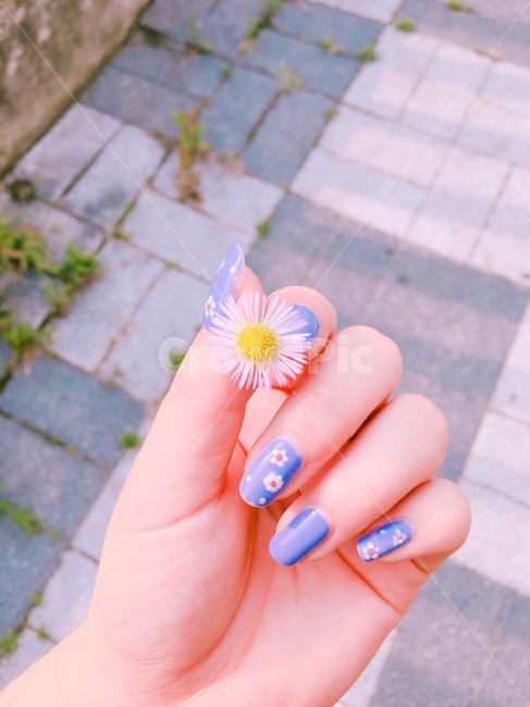 봄,꽃,손,네이아트,네일,손가락,꽃,flower