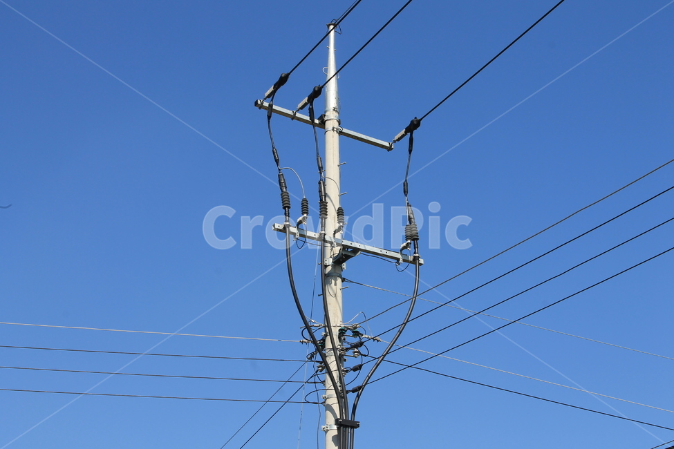 전봇대,전신주,전기선,telephonepole,utilitypole,파란하늘,telegraphpole,전력케이블,sky,bluesky,파른하늘,푸른하늘,하늘,에너지산업,energy industry