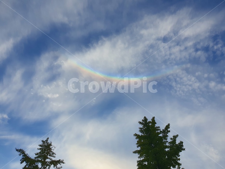 무지개,하늘,구름,반무지개,풍경,rainbow,sky,outdoors,자연,nature,빨주노초파남보,자연,풍경,nature,landscape,tree,나무,plant,식물,옥외