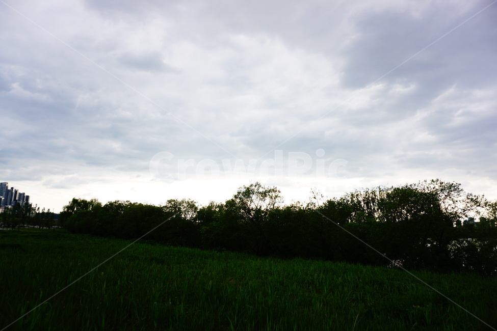 봄,한강,풀잎,초록,감성,휴식,힐링,배경,긍정,healing,spring,하늘