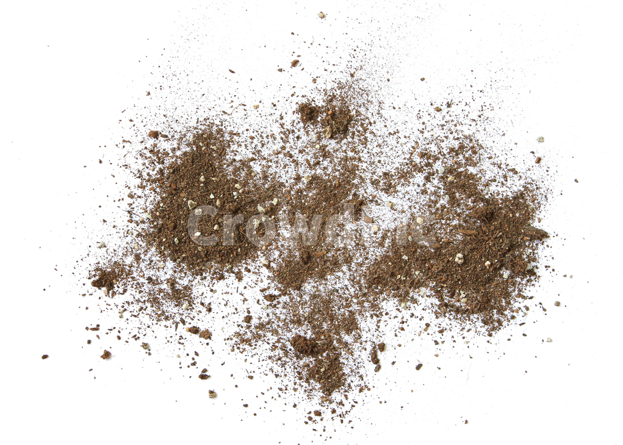 흙,모래,soil,sand,soiltexture,탑앵글,흰배경,누끼,가루,흙가루,모래가루,갈색,브라운,텍스춰,건조한,black,botany,brown,closeup,compost,dark,dirt,dirty,dry,dust,grain,heap,humus,ingredient,macro,mineral,nobody,object,organic,path,powder,splash,spray,texture,topview,toxic,뿌린,누끼,remove background