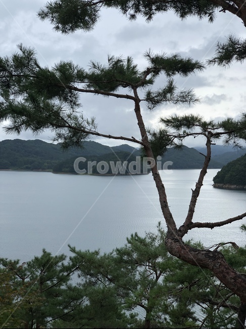 호수,강,자연,휴식,물,nature