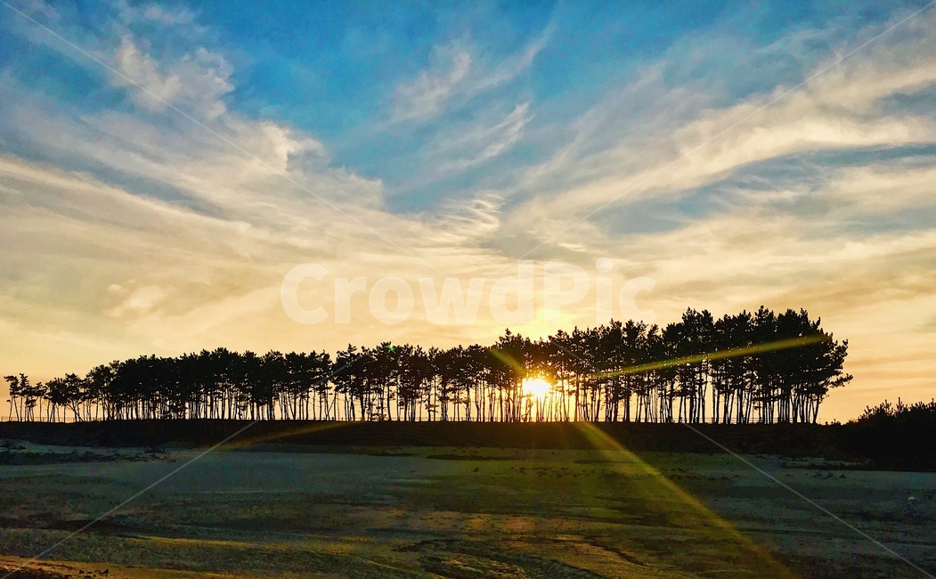 국내,한국,안면도,태안,노을,하늘,숲,나무,sunset,sky,korea,자연,풍경,nature,landscape,outdoors,옥외