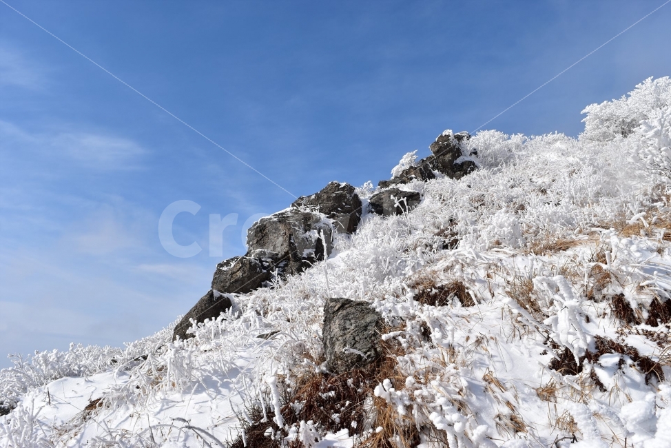 소백산,눈꽃풍경,상고대,겨울풍경,국립공원,겨울동화,눈풍경,파란하늘,100대명산,겨울명산,설경,서리꽃,영동,snow,landscape,자연,풍경,nature,landscape,겨울,계절,winter,season,outdoors,옥외,mountain,산,눈