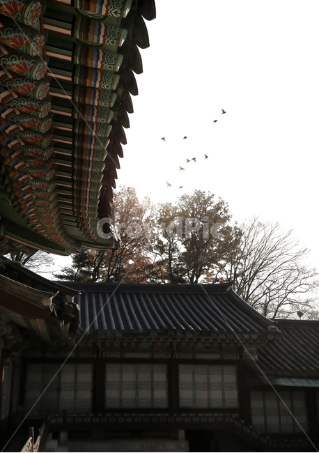 한국전통,한국풍경,고궁,전통,배경,배경이미지,백그라운드,건축,건물,동양건축,궁전,한국,문화재,유적지,하늘,구름,한국전통,한국문화,korean traditional,korean culture,건축물,건물외관,exterior,building,structure,architecture,construction
