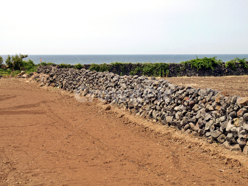 돌담,올레17코스,올레,제주,밭,작물,바다,자연,풍경,nature,landscape,제주도,jeju,jeju island,ground,바닥,gravel,자갈,road,도로,dirt road,흙길