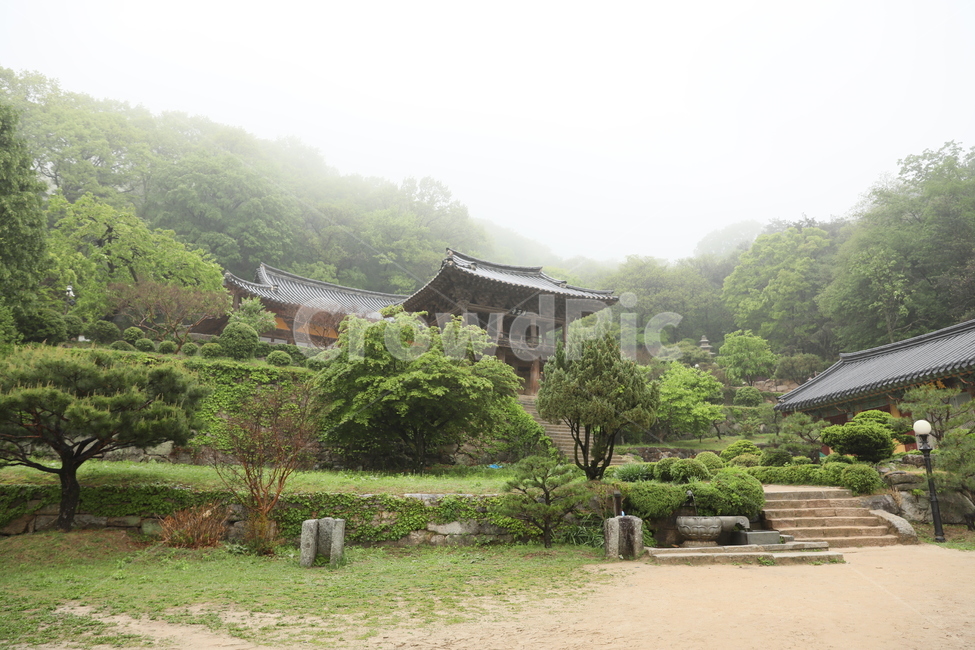 부석사,대문,사찰,녹음,비,우중,입구,나무,초록,한국전통,한국문화,korean traditional,korean culture,종교,신앙,religion,belief,faith