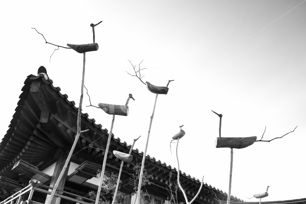 솟대,한옥,한국전통,무늬,한국,건축물,한국건축,나무조각,전통,동양,아시아,한국문화,문화체험,사대부,고건축,전통문양,기와지붕,대한민국,민속,민속촌,풍경,한옥마을,고궁,기와,나무,지붕,문양,패턴,기와집,전통패턴,전통기와집,처마,담,돌담,흙담,전통가옥,건물외관,building,korean,culture,한국전통,한국문화,korean traditional,korean culture,조각상,동상,석상,조형물,statue,bronze statue,stone statue,흑백,모노톤,monochrome,black and white