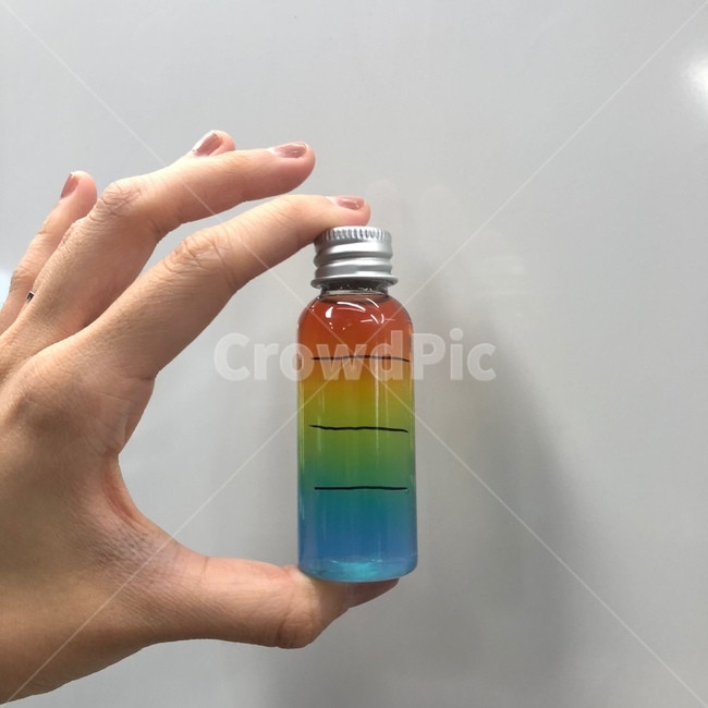 과학,설탕물실험,손,물감,물감물,과학실험