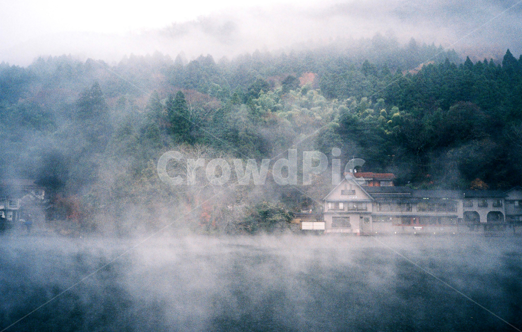 fog,안개,mist,weather,날씨,자연,nature,japan,fukuoka,후쿠오카,유후인