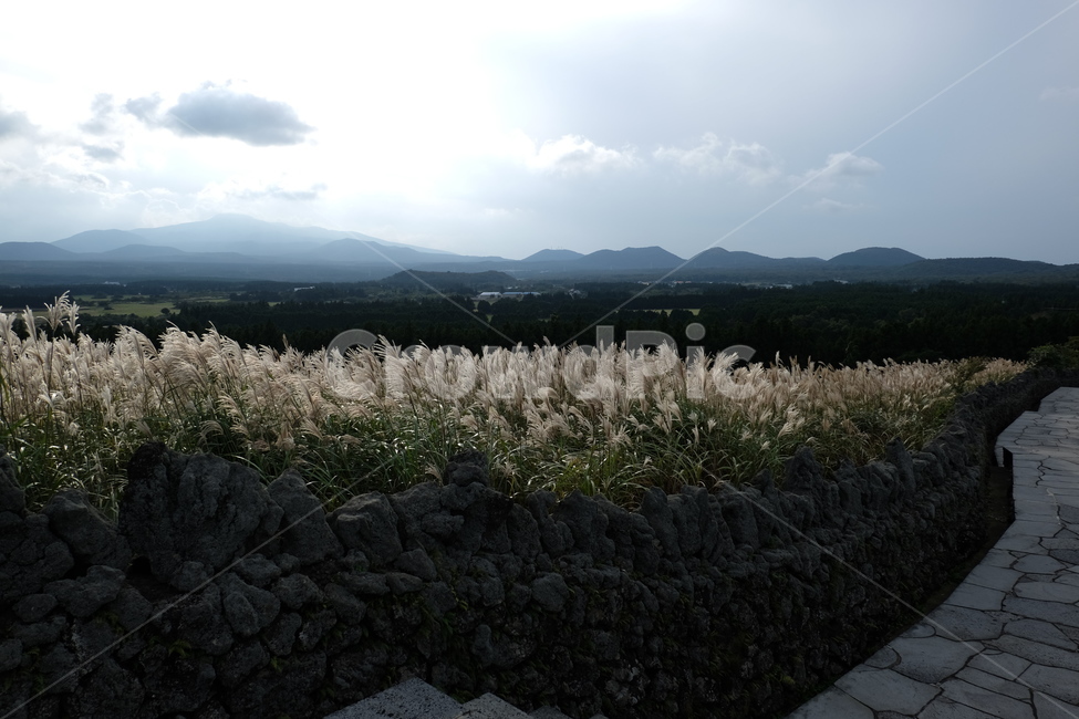 제주,제주도,산굼부리,억새,jeju,하늘,돌담