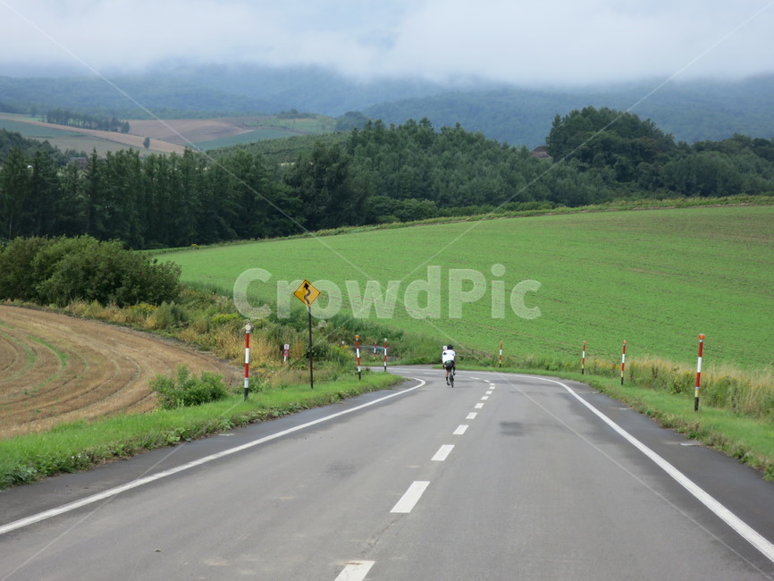 road,도로,highway,고속도로,freeway,고속도로,person,사람,human,인간,논,밭,시골,한적한길,스포츠,레저,운동,sports,leisure,exercise
