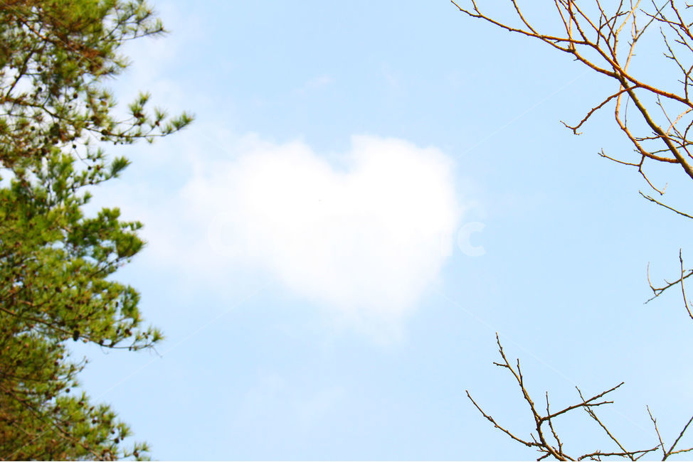 봄,감성사진,일상,풍경,풍경사진,하늘,daily,sky,spring,구름,하트,하트구름,봄,계절,spring,season,자연,풍경,nature,landscape