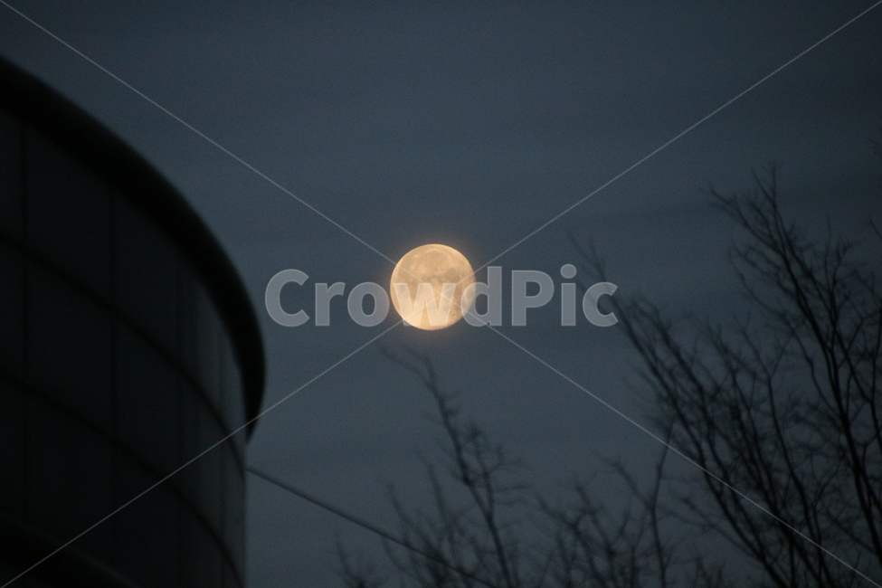 보름달,나무,야경,풍경,달,자연,풍경,nature,landscape,야경,밤,nightscape,night,outdoors,옥외,outer space,대기권 밖,moon,astronomy,천문학,universe,우주,space