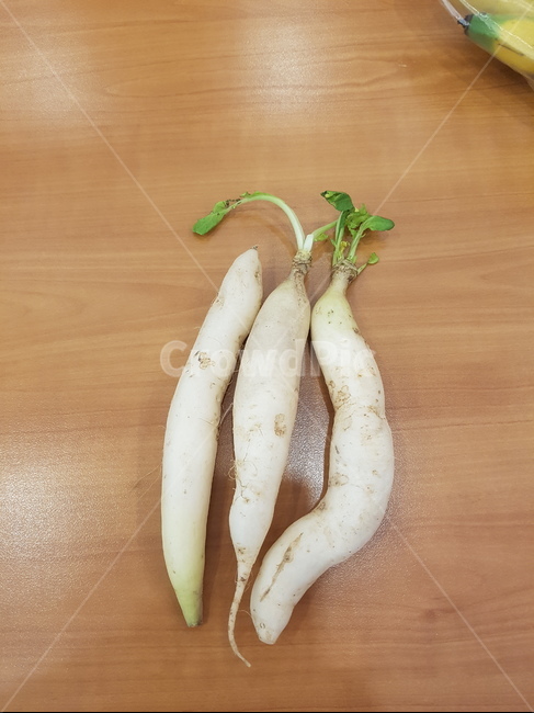 유기농무,아기무,무우,야채,태국무,태국유기농무,음식,식재료,요리,food,cook,meal,dishes,food reserves