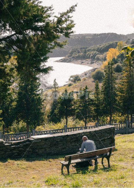 bench,벤치,plant,식물,나무,person,사람,human,인간,강,자연,자연,풍경,nature,landscape,사람,인물,인간,human,person,남성,남자,man,male