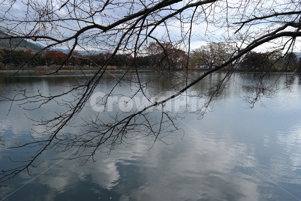 호수,하늘,구름,나무,자연,물가,숲,공원,수변,자연,풍경,nature,landscape,plant,식물,tree,water,물,outdoors,옥외,land,땅