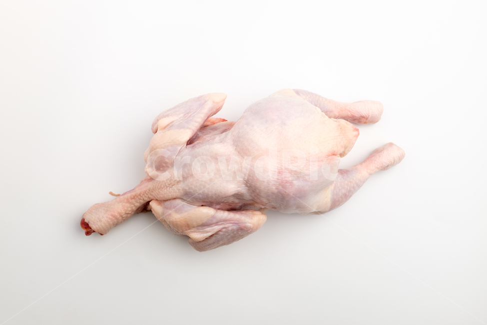 닭,생닭,손질된닭,닭껍질,닭다리,닭날개,닭목,닭가슴살,재료,식재료,음식재료,요리,고기,닭고기,날것,식품,음식,클로즈업,식용,닭뼈,맛있는,기름진,고소한,담백한,단백질
