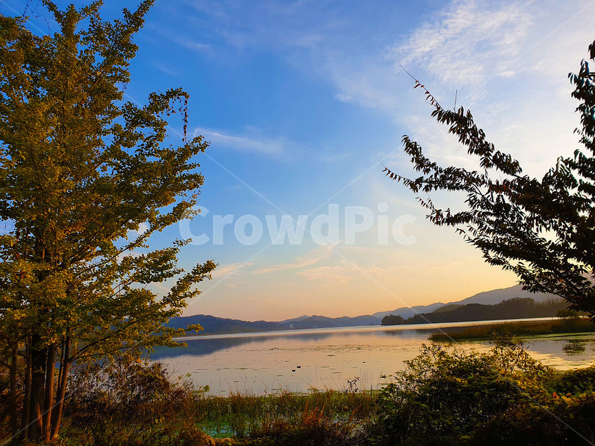 호수,나무,하늘,구름,노을,양평,두물머리,자연,식물,nature,tree,outdoors,plant,sky,cloud,lake,sunset,가을,풍경,자연,풍경,nature,landscape