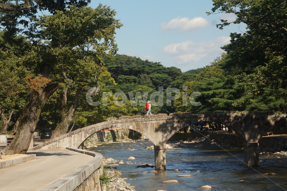 다리,계곡,bridge,valley,숲,자연,풍경,nature,landscape