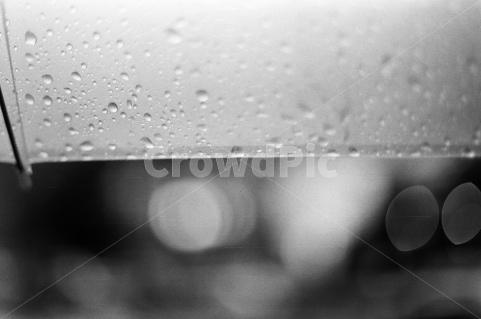 흑백필름,우산,비오는날,rain,장마,rainy,blackandwhite,흑백,filmcamera,fomapan,아날로그,analog,감성,sensible,feeling,비,비오는날,rain,rainy,흑백,모노톤,monochrome,black and white