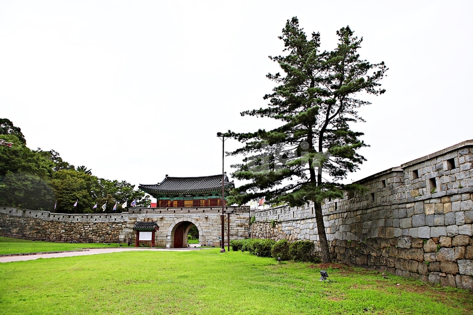 강화남문,성곽,옛성터,담,돌담,벽,풍경,식물,나무