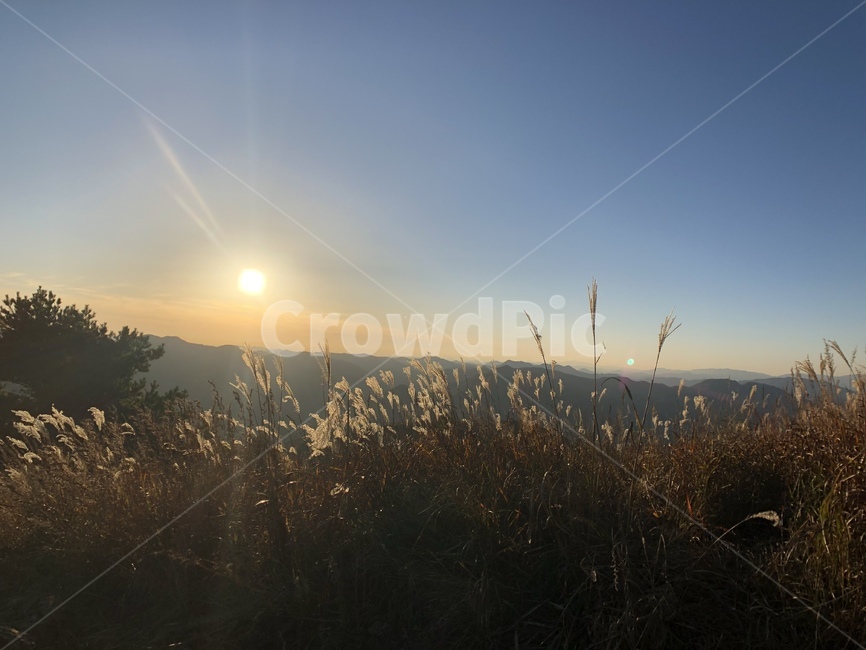 일몰,산,자연,태양,석양,노을,예쁜자연,가을,계절,fall,autumn,season,자연,풍경,nature,landscape,plant,식물,grass,잔디,lawn