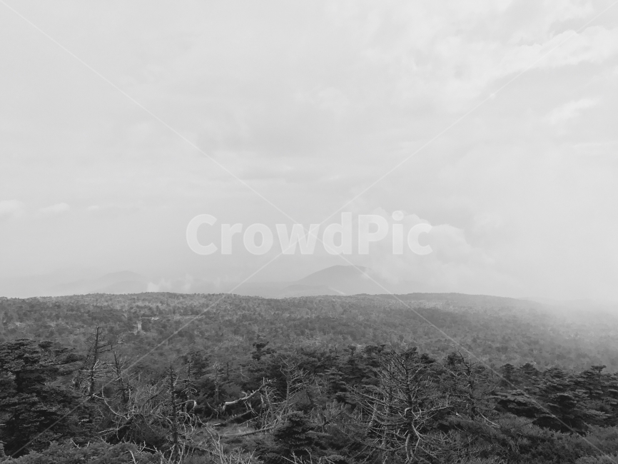 흑백,제주도,한라산,구름,여름,자연,풍경,nature,landscape,흑백,모노톤,monochrome,black and white,weather,날씨,outdoors,옥외