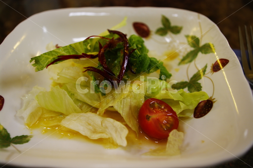 야채,샐러드,디저트,소스,양상치,당근,토마토,음식,식재료,요리,food,cook,meal,dishes,food reserves