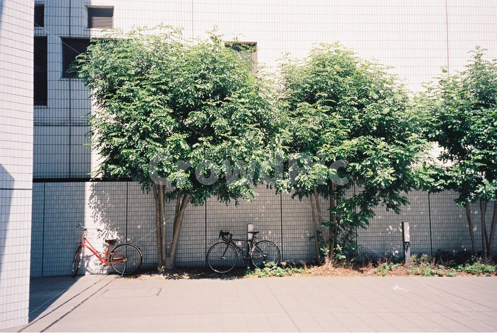 자전거,일본,따뜻함,담벼락,bicycle,wall,골목길