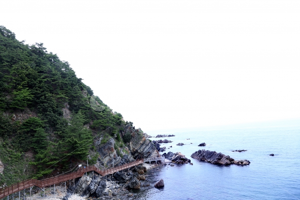 금진항,정동진,부채길,헌화로,금진,자연,풍경,nature,landscape,한국자연풍경,한국자연경관,korea nature landscape,promontory,곶
