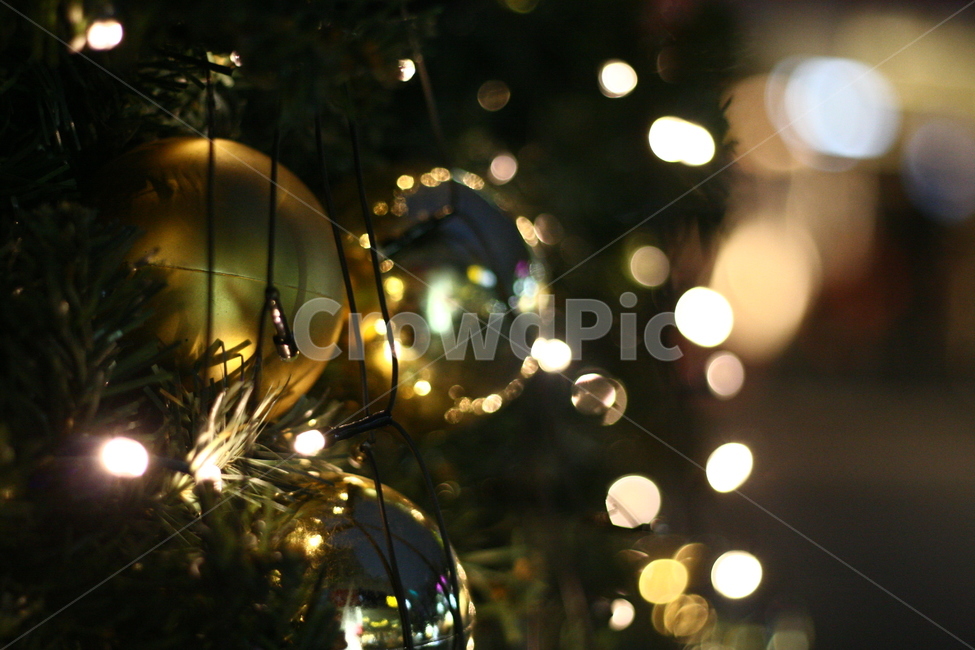 크리스마스,크리스마스트리,christmas,christmastree,장식,나무,보케,겨울,계절,winter,season,야경,밤,풍경,nightscape,night,landscape,메리크리스마스,성탄절,merry christmas,감성,sensible,feeling