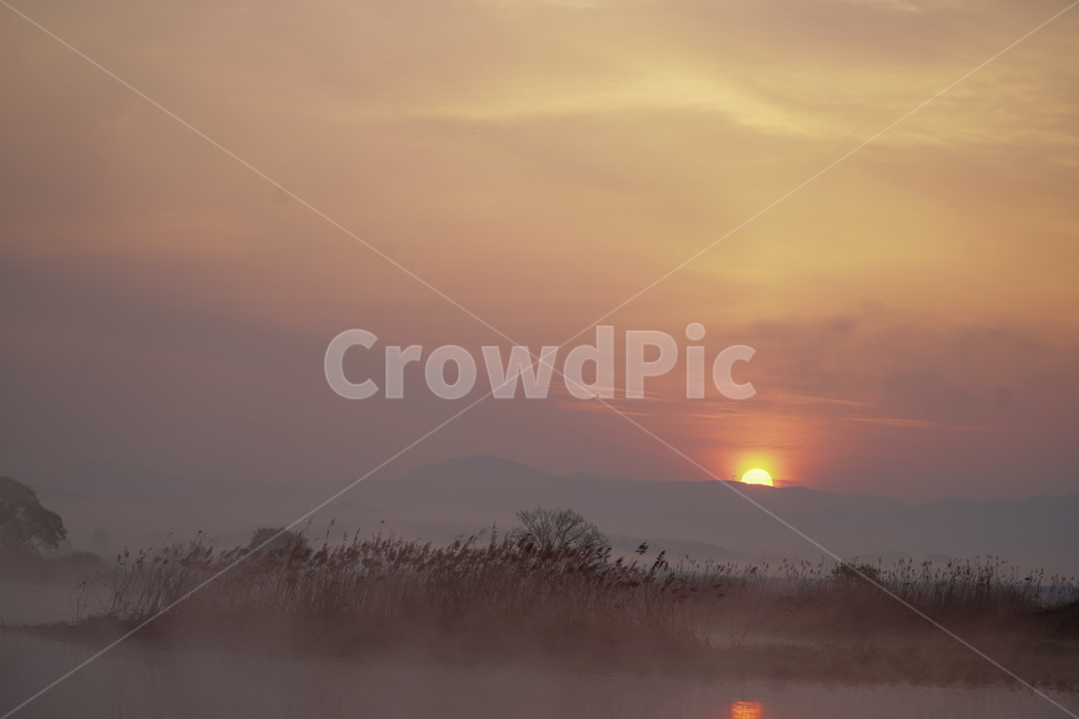 우포늪일출,uposwampsunrise,새벽안개,우포늪,dawnfog,uposwamp