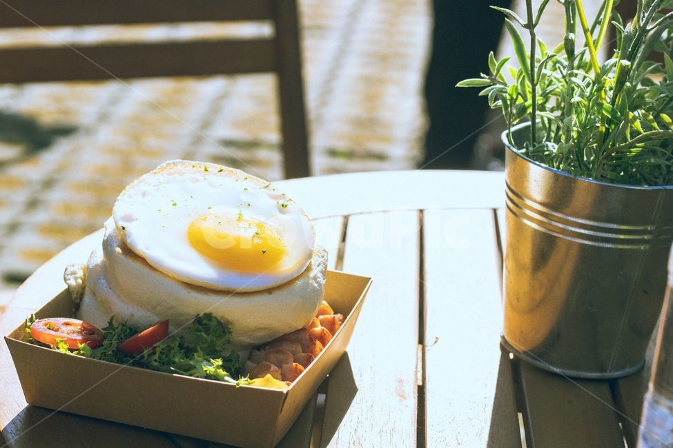 계란,빵,햇빛,음식,식사,간식,화분,음식,식재료,요리,food,cook,meal,dishes,food reserves,아침식사,조식,브런치,breakfast,brunch,감성,sensible,feeling,휴식,힐링,rest,relaxation,healing