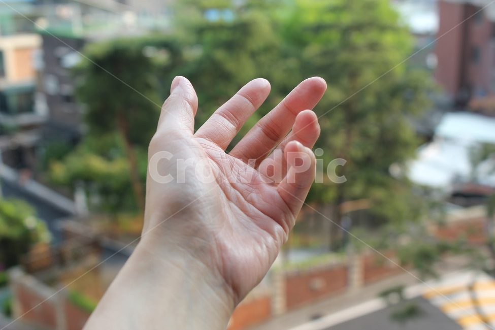 손,핸드,여자,여자손,성인,어른,사람,인체,신체,신체부위,부위,손가락,팔목,잡기,손바닥,손,제스처,표시,손짓,표현,gesture,hand,sign,expression
