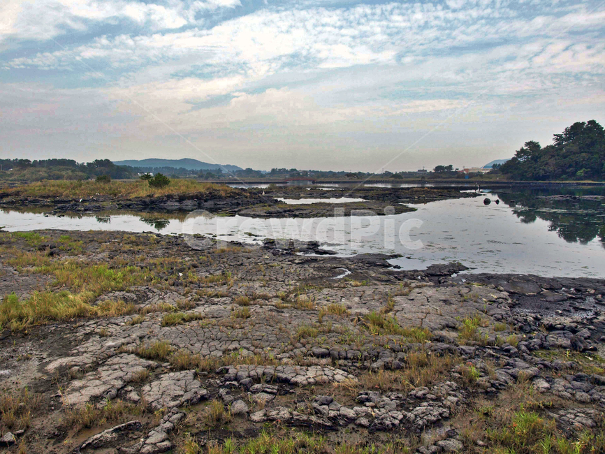 내수면,늪지대,올레2코스,제주,서귀포시,보,둑,자연,풍경,nature,landscape,한국자연풍경,한국자연경관,korea nature landscape,제주도,jeju,jeju island,land,땅,outdoors,옥외,ground,바닥,water,물