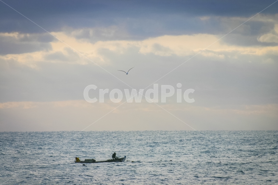 바다,어선,배,고기잡이,어부,파도,갈매기,빛내림,구름,fishing,fisherman,afishingboat,사람,인물,인간,human,person,산업,industry,industrial,어업,fishery,fishing industry,교통,교통수단,traffic,transportation,vehicle,차량,watercraft,선박