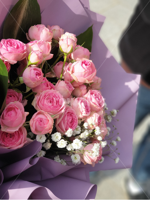 꽃,아웃포커싱,핑크색꽃,가짜꽃,핑크색장미꽃,꽃,flower,기념일,축하,anniversary,congratulation,celebrate,celebration
