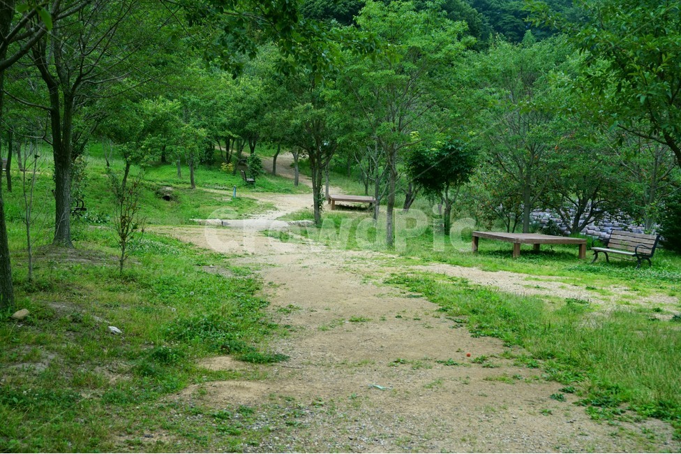 공원,벤치,쉼터,그린,나무,흙길,park,bench,green,shelter,자연,풍경,nature,landscape