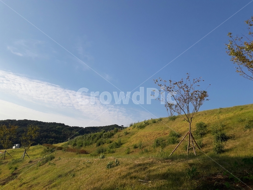 언덕,들판,여름풍경,hill,summerlandscape,자연,구름,하늘,여름