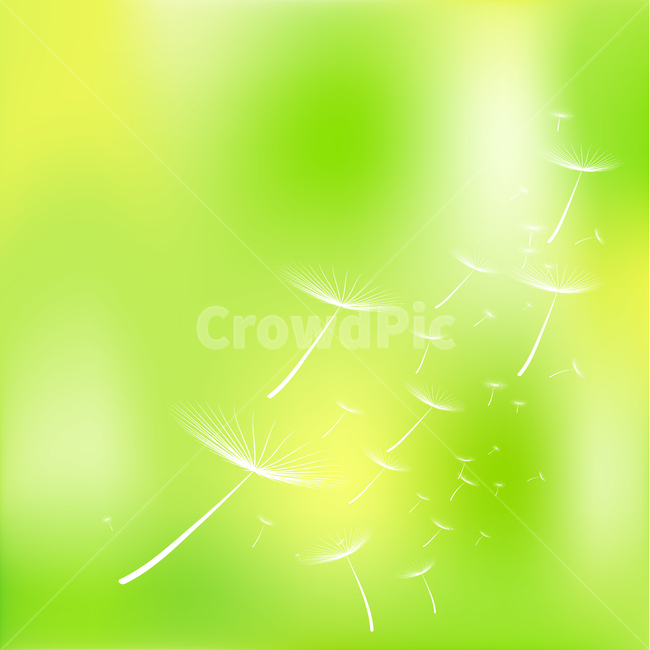민들레,봄,자연,홀씨,sring,dandelion,nature,배경,background,그래픽,일러스트레이션,graphic,illustration