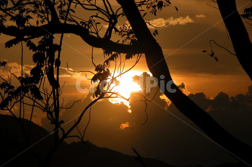 일몰,석양,sunset,light,빛,flare,플레어,sunlight,햇빛,자연,풍경,nature,landscape