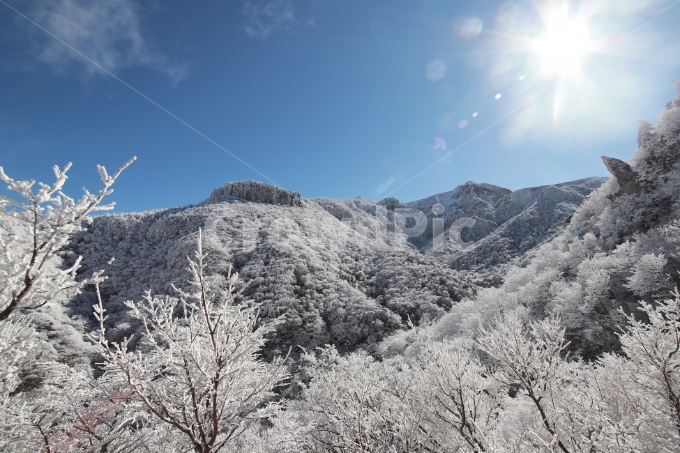 한라산,상고대,설산,겨울,겨울산행,눈꽃,진달래대피소,성판악,관음사,제주도,제주,백록담,겨울,계절,winter,season,자연,풍경,nature,landscape,한국자연풍경,한국자연경관,korea nature landscape,제주도,jeju,jeju island,outdoors,옥외,ice,얼음,tree,나무,plant,식물
