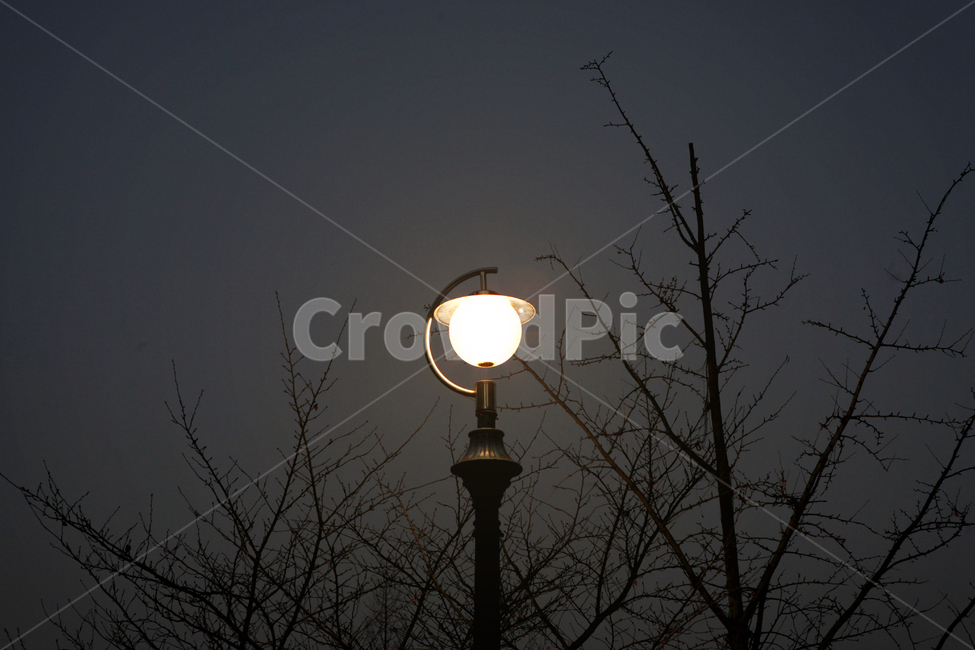 nature,자연,outdoors,lamp,램프,가로등,밤,저녁,가로등불빛,불빛,빛,light,나무,겨울나무,겨울,winter,tree,감성사진