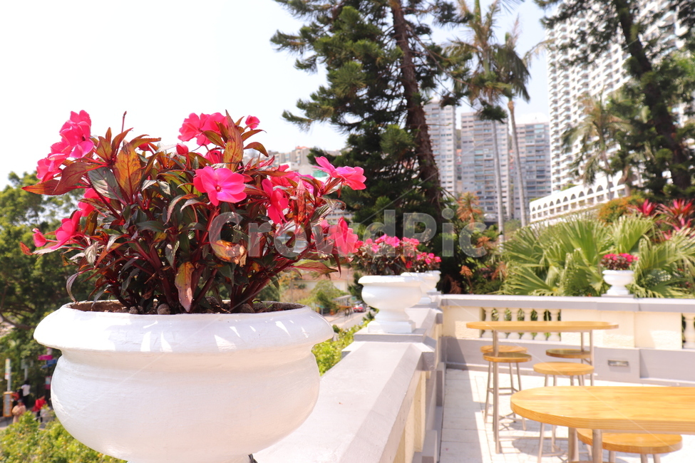 꽃,테라스,풍경,자연,화분,봄,식물,자연,plants,nature,꽃,flower