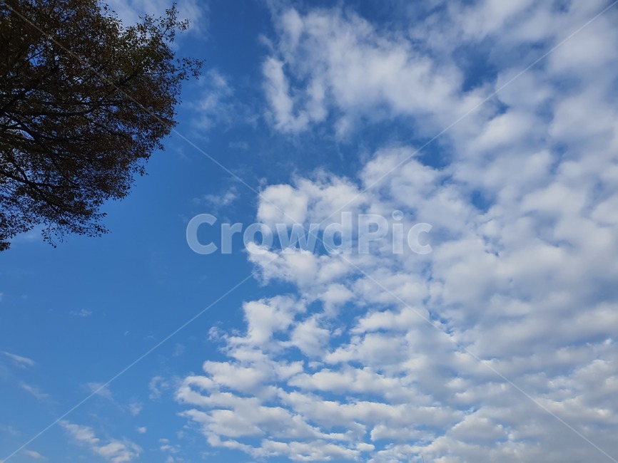 하늘,sky,푸른하늘,구름,자연,nature,자연,풍경,nature,landscape