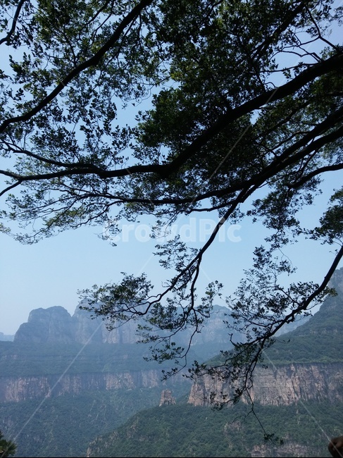 산,나무,하늘,야외,숲,자연,풍경,nature,landscape,outdoors,옥외,tree,plant,식물